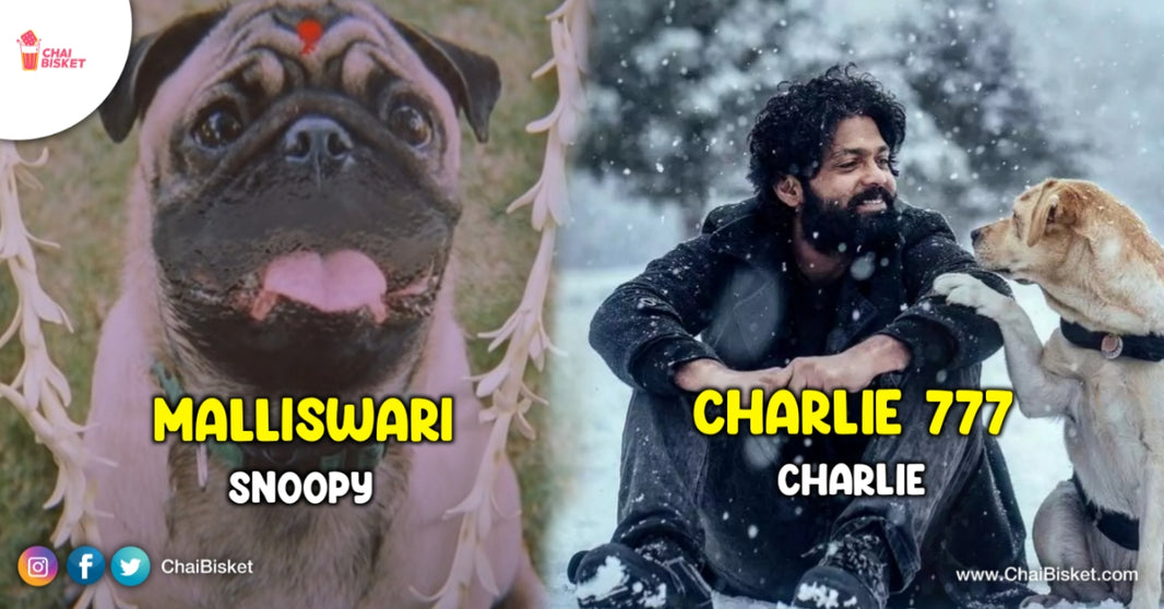 Kukka Kadhu, It's An Emotion. Iconic Pet Dogs From Telugu Movies That Have A Cute Fanbase