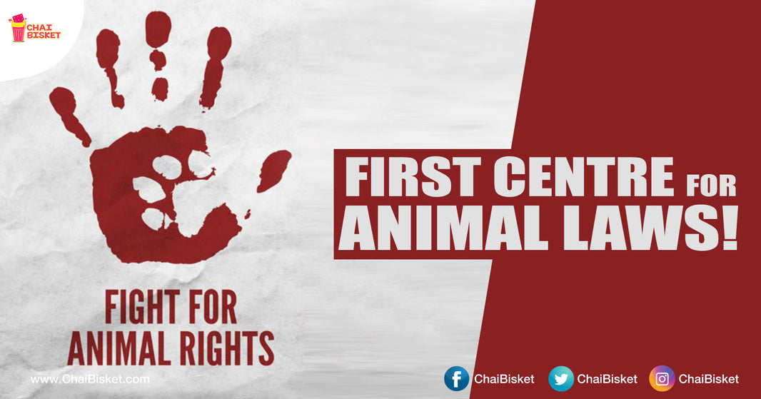 Hyderabad All Set To Have India's First Ever "Center For Animal Laws" That Will Fight For Animal Rights!