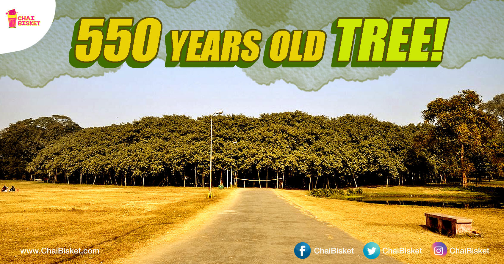 This Banyan Tree In Andhra Pradesh Holds The Guinness Record For Being The Largest Tree In The World!