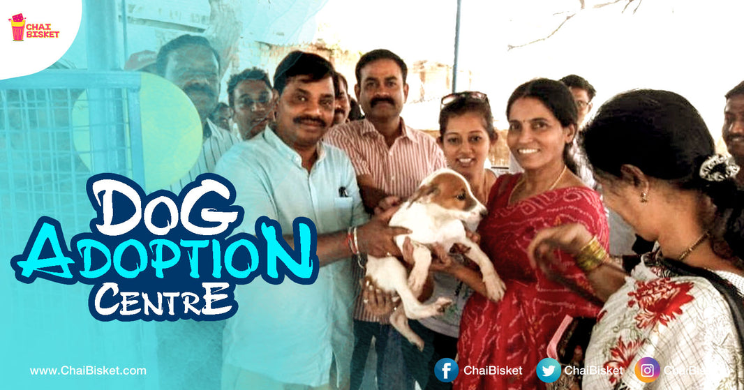 Here's All You Need To Know About GHMC's Noble Idea Of Dog Adoption Centre To Provide Shelter For Street Dogs!