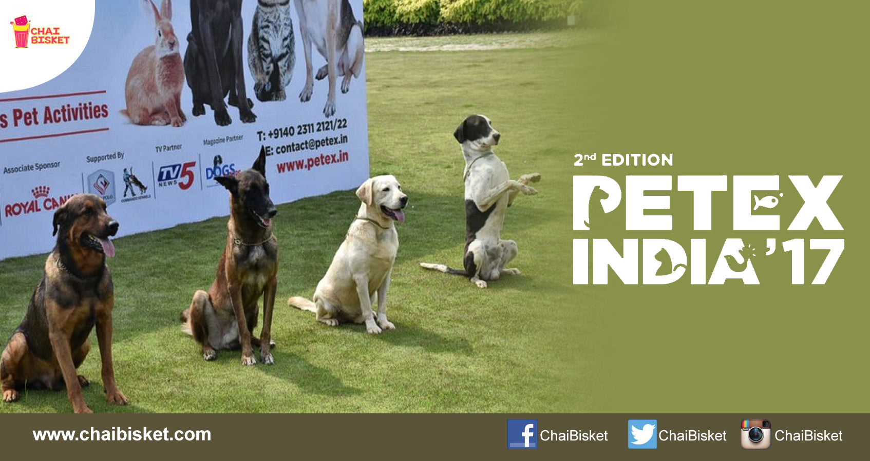 Here's All You Need To Know About The Largest "Pet Expo" Of India That Is Now Happening In Hyderabad!