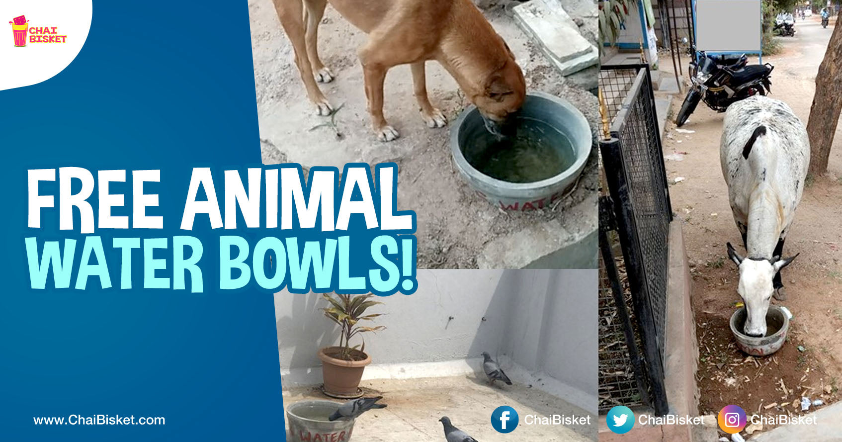 This Hyd Group Deserves All The Respect For Providing Drinking Water To Stray Animals