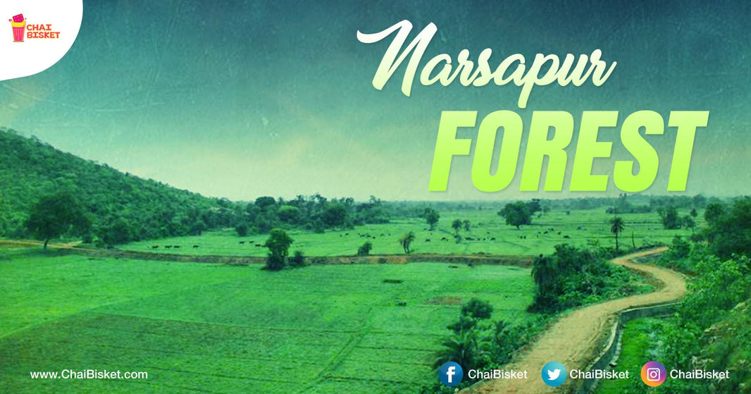 Here Is Why Medak District's Narsapur Forest Is The Ideal Destination For Your Weekend Travel Plans!