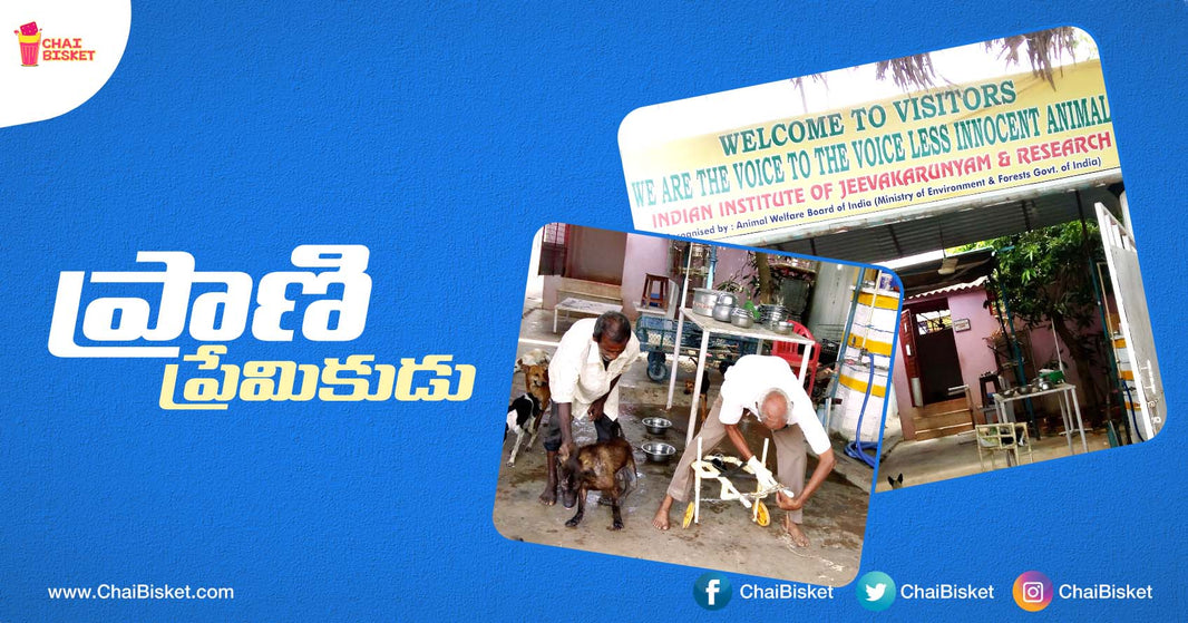 Here's How This Vijayawada Man Is Rescuing Street Dogs And Providing A Shelter To Them!