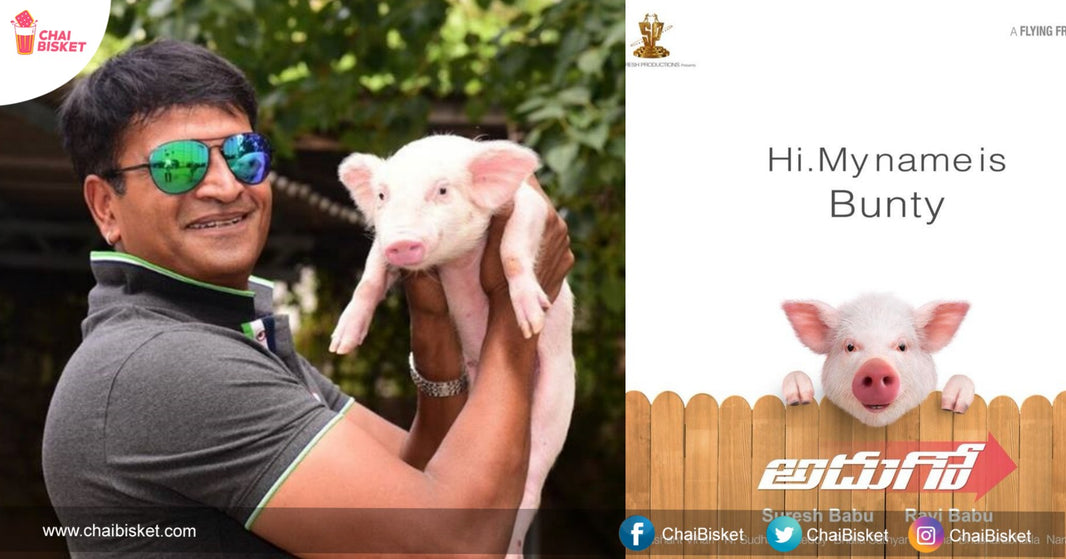 Here’s How Ravi Babu Came Up With The Crazy Thought Of Making 'Adhugo' With A Piglet