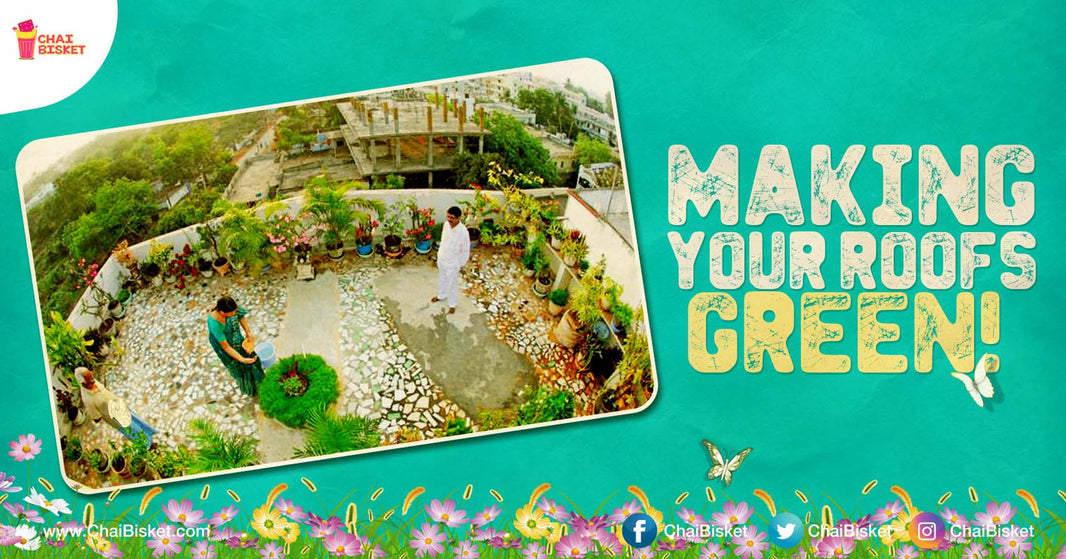 Here’s How You Can Renovate Your Homes & Balconies With Beautiful Green Pastures!