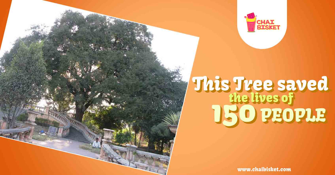 Here's Everything About The Story Of A Tamarind Tree In Hyderabad That Saved Nearly 150 Lives!