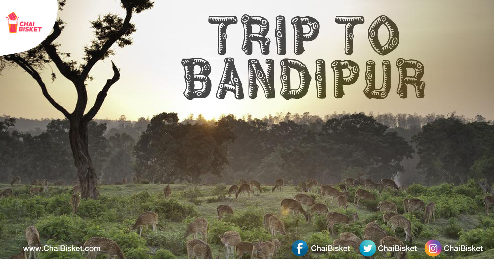 If Wildlife & Nature Is What Excites You, Then This Sanctuary In Karnataka Is A Must Visit!