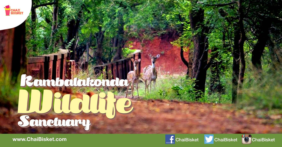 Here's Why You Must Visit Vizag's Scenic Kambalakonda Wildlife Sanctuary!