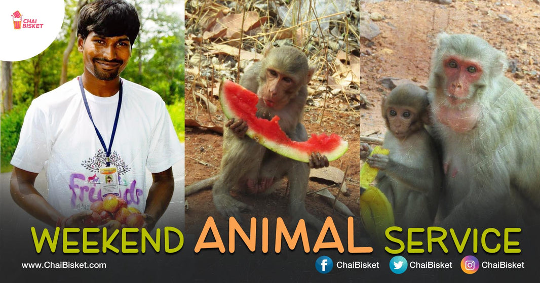 Meet Sandesh, A 5th Class Qualified Person Who Feeds Animals With His Own Money