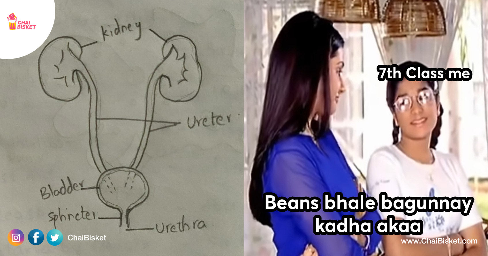 Remember These Biology KalaaKaandalu? These Nostalgic Diagrams Will Take You Back In Time