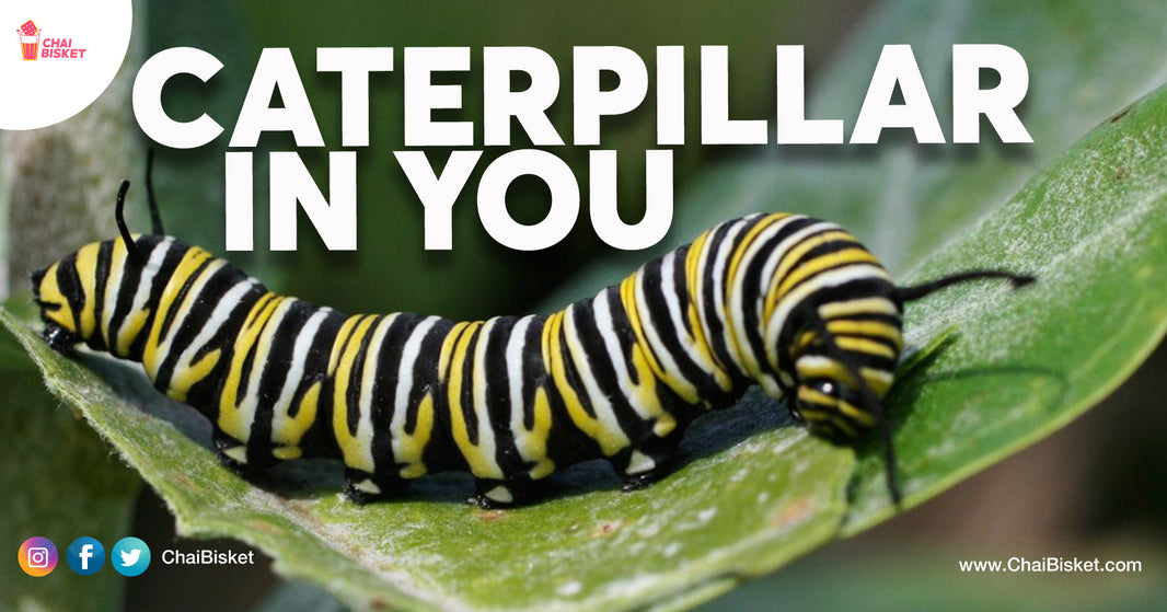 We Are Just Like Caterpillars, All We Need Is A Force To Bring The Butterfly Within Us - A Caterpillar Story