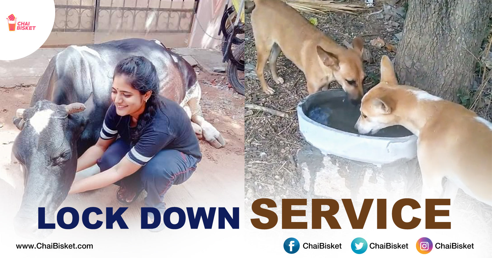 Meet The Women Who Are Feeding Animals During Lock Down Period