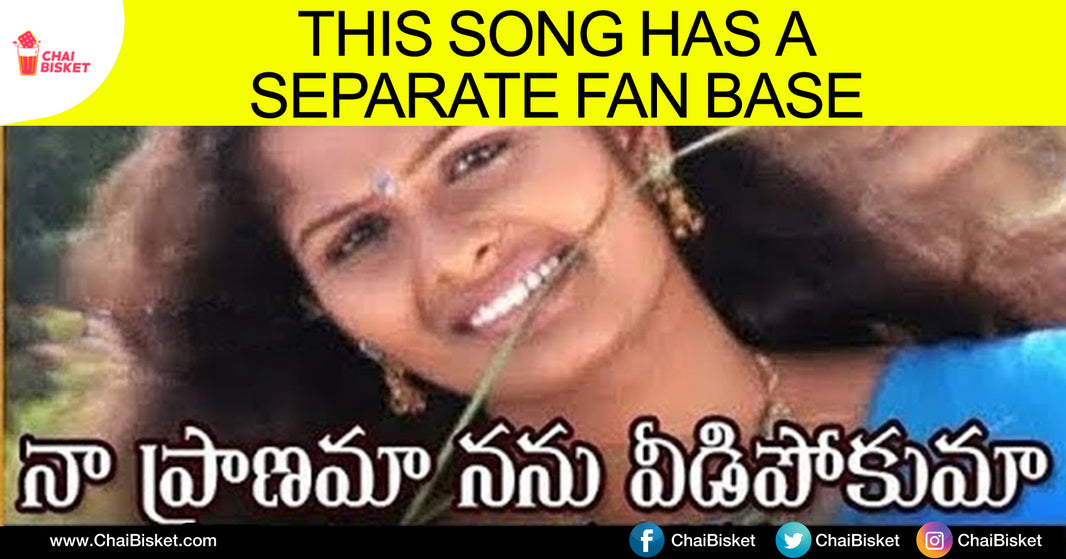 10 Crazy Things That Have A Separate Fan Base In Telugu Audience