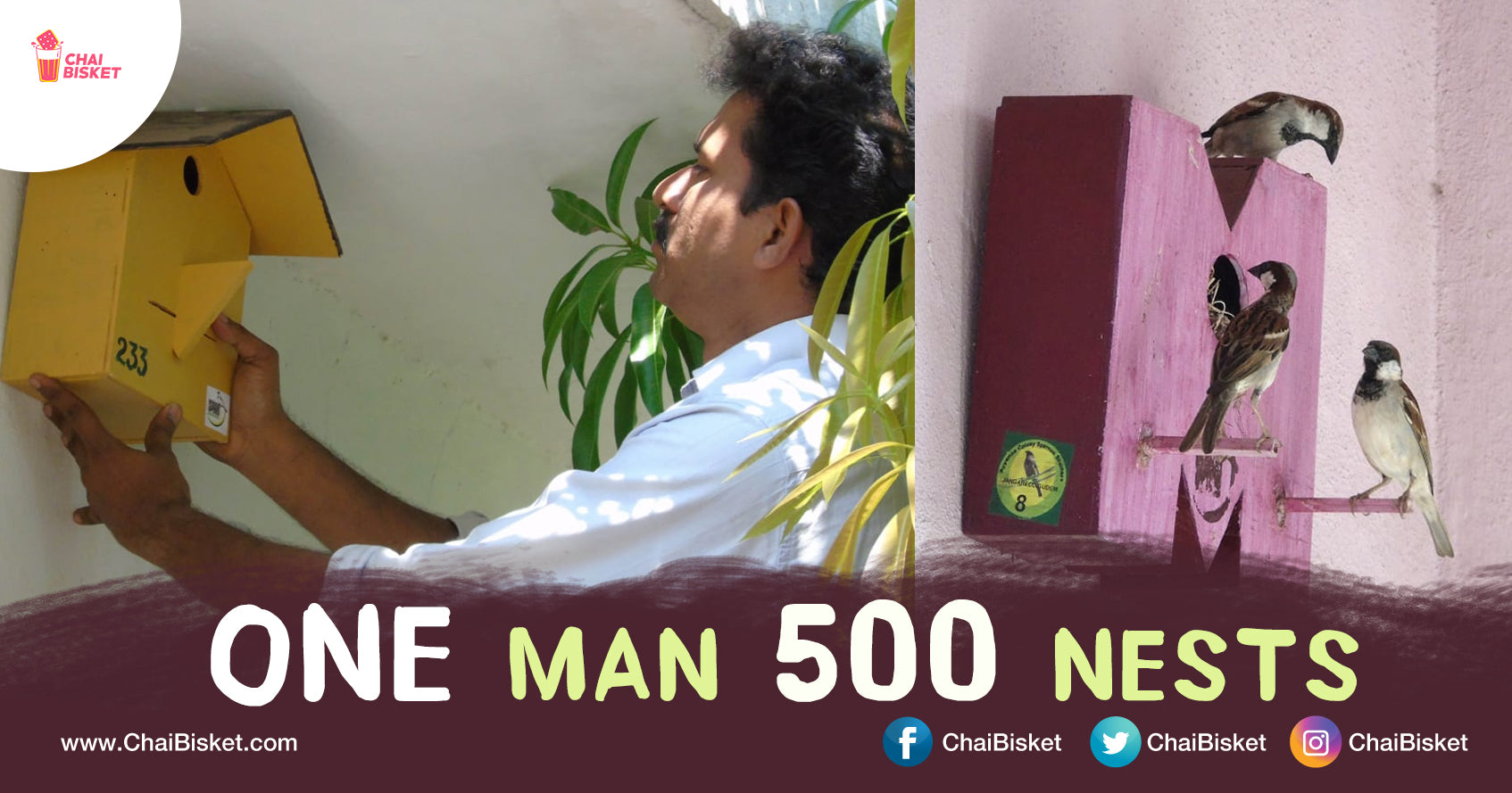 This Man Built 500 Nests & Gave Shelters To So Many Birds