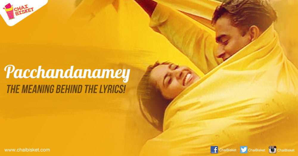 The Meaning Lyrics Of 'Pacchandanamey' Song From Sakhi Movie Show The True Colors Of Love!