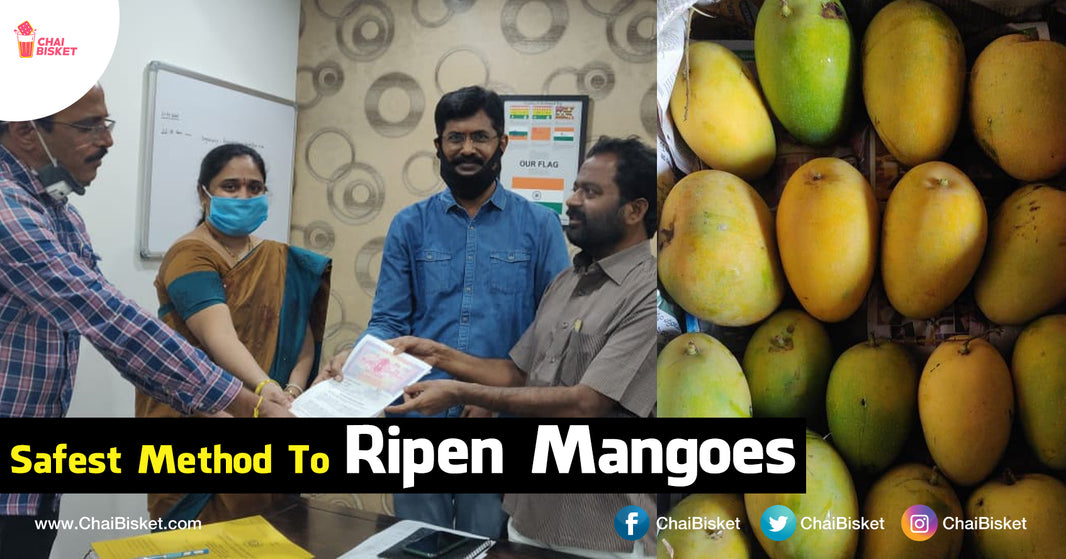 Meet The Company That's Ripening The Mango In A Healthy & Safe Method