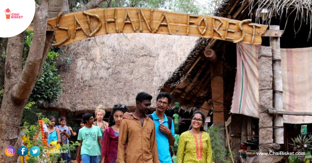 Sadhana Forest - A Program That Makes You Experience The Beauty Of Life In A Forest, Literally