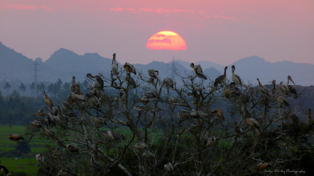 13 Wonderful Facts About Srikakulam That Prove There's More To It Than Just Their Accent!