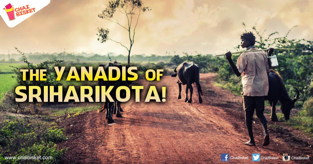 All You Need To Know About The Pre-Dravidian Inhabitants Of The Sriharikota Area!