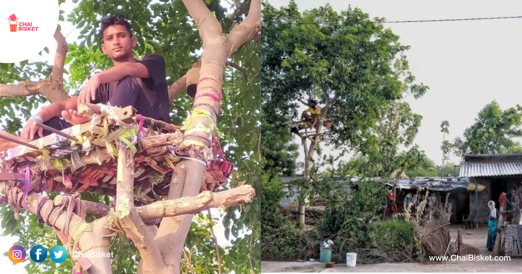 With No Place At Home To Isolate, This 18 Year Old Student From Telangana  Built A House On Tree To Isolate